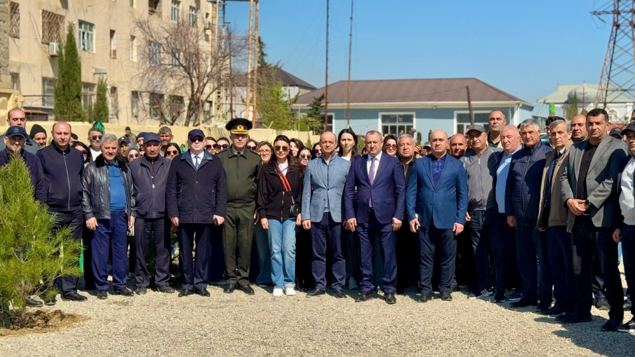 Suraxanıda ağacəkmə aksiyası keçirildi - FOTOLAR